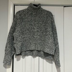 Madewell Turtle Neck Sweater